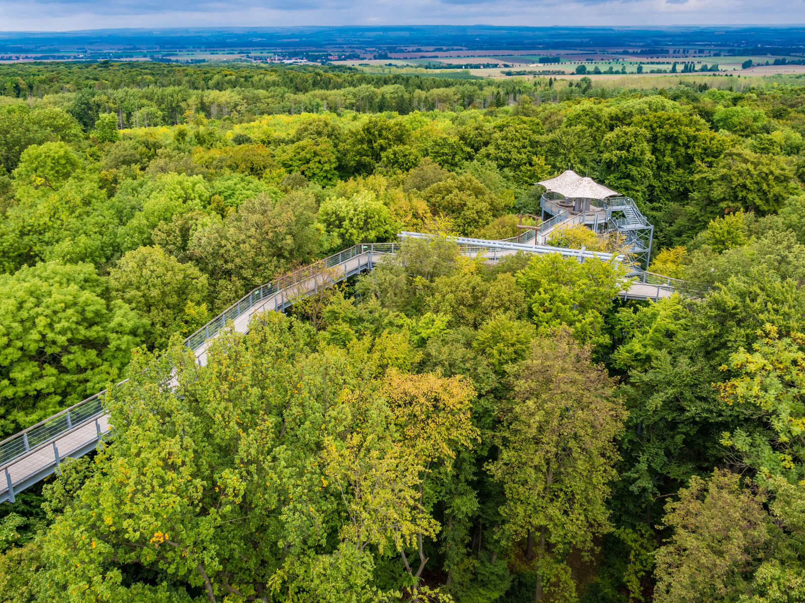 Baumkronenpfad im Nationalpark Hainich