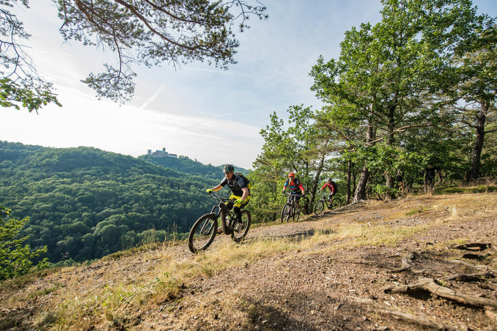 Mountainbike-Touren bei Eisenach