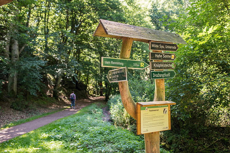 Via Regia – Pilgerweg