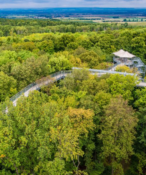Baumkronenpfad im Nationalpark Hainich